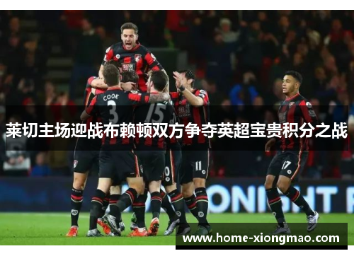 莱切主场迎战布赖顿双方争夺英超宝贵积分之战